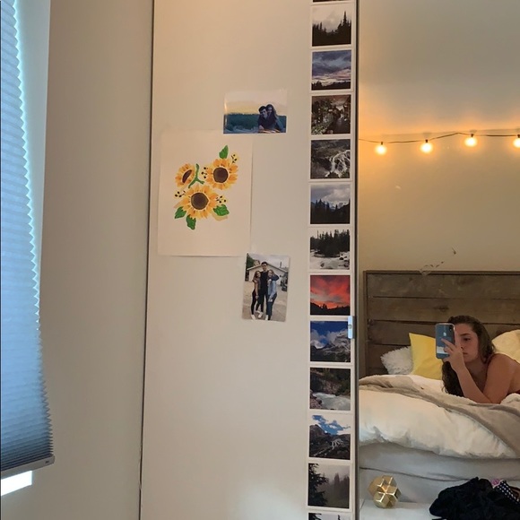 Meet your Posher, Ayra - Picture 1 of 1